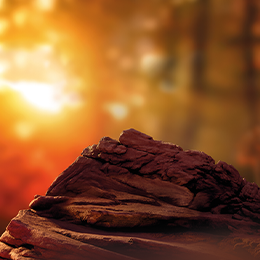 background Sienna terea tranzitie